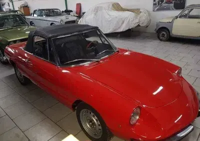 Alfa Romeo Duetto spider coda tronca 1.6   (5)