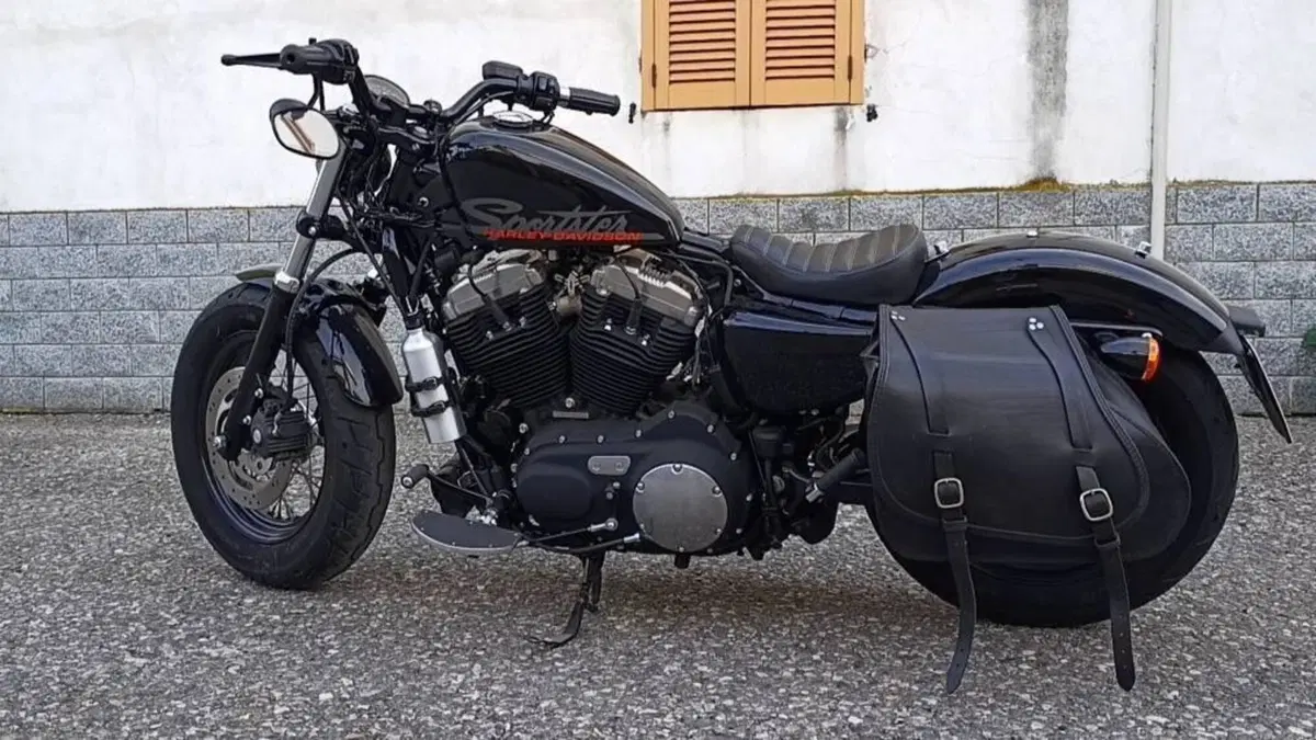 Harley-Davidson 1200 Custom (2007 - 13) - XL 1200C  (2)