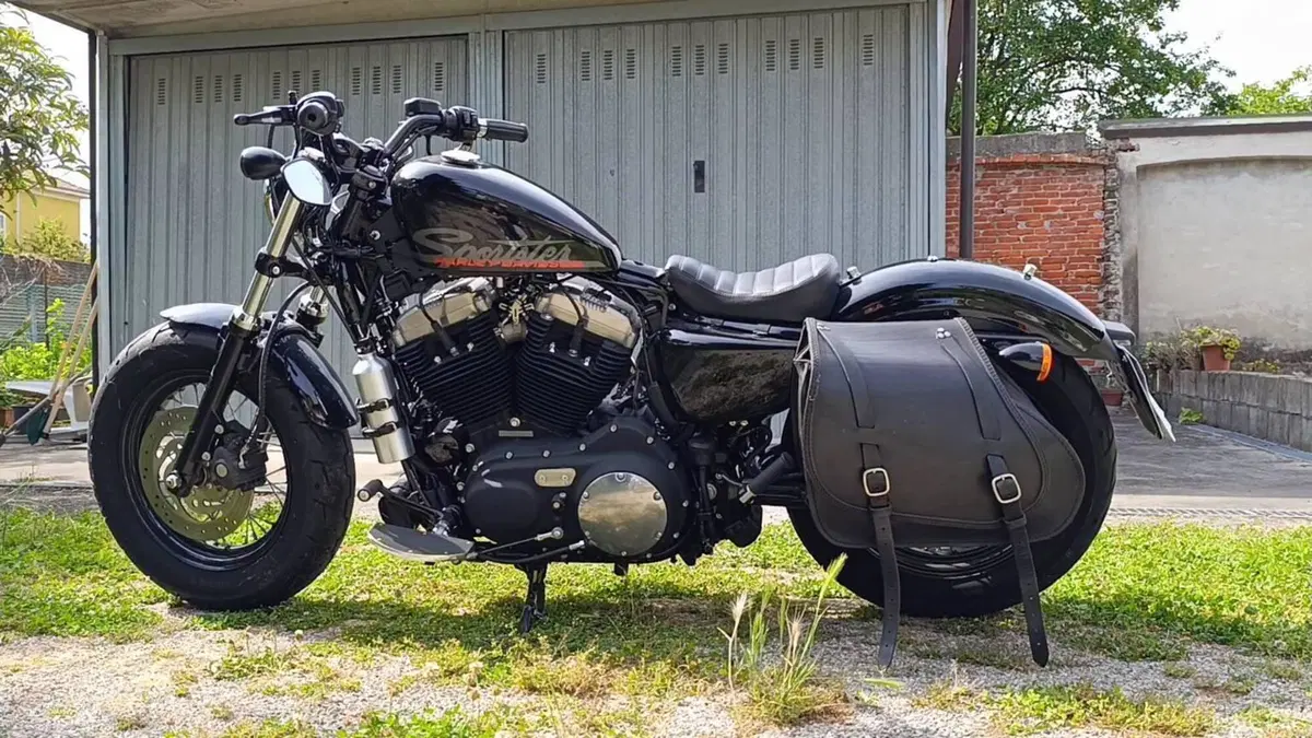 Harley-Davidson 1200 Custom (2007 - 13) - XL 1200C  (3)