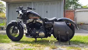 Harley-Davidson 1200 Custom (2007 - 13) - XL 1200C  (3)