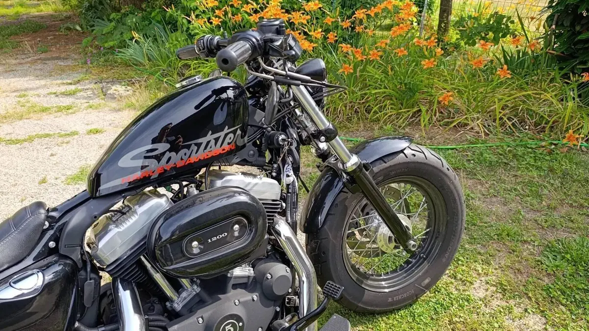 Harley-Davidson 1200 Custom (2007 - 13) - XL 1200C  (4)