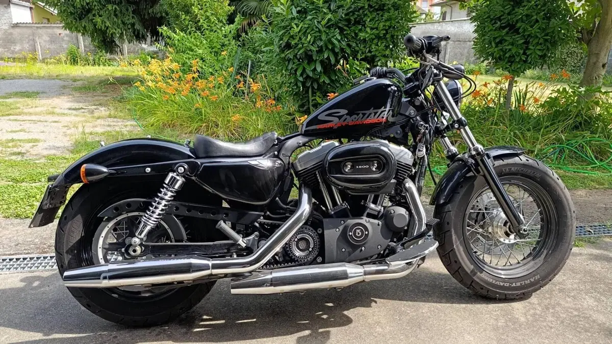 Harley-Davidson 1200 Custom (2007 - 13) - XL 1200C  (6)