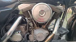 Harley-Davidson   (9)