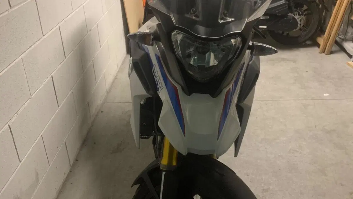 Bmw G 310 GS (2017 - 20)  (8)