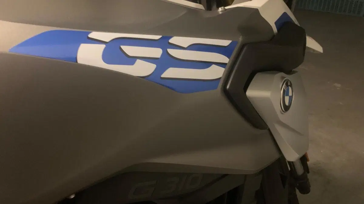 Bmw G 310 GS (2017 - 20)  (9)