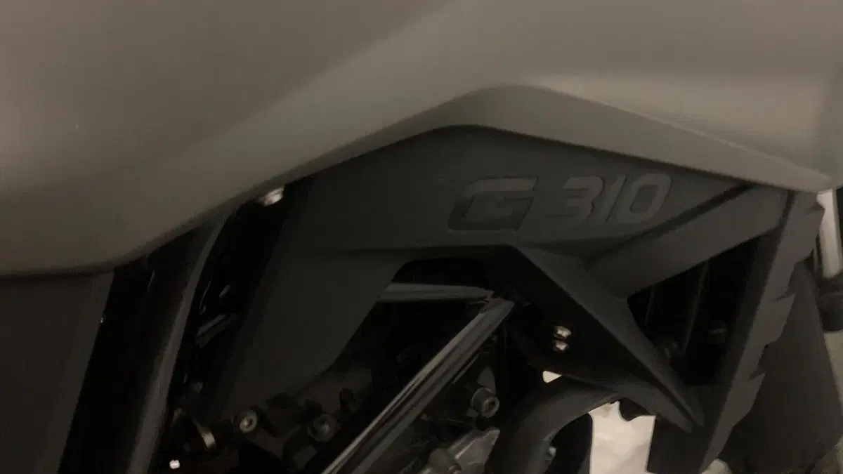 Bmw G 310 GS (2017 - 20)  (10)