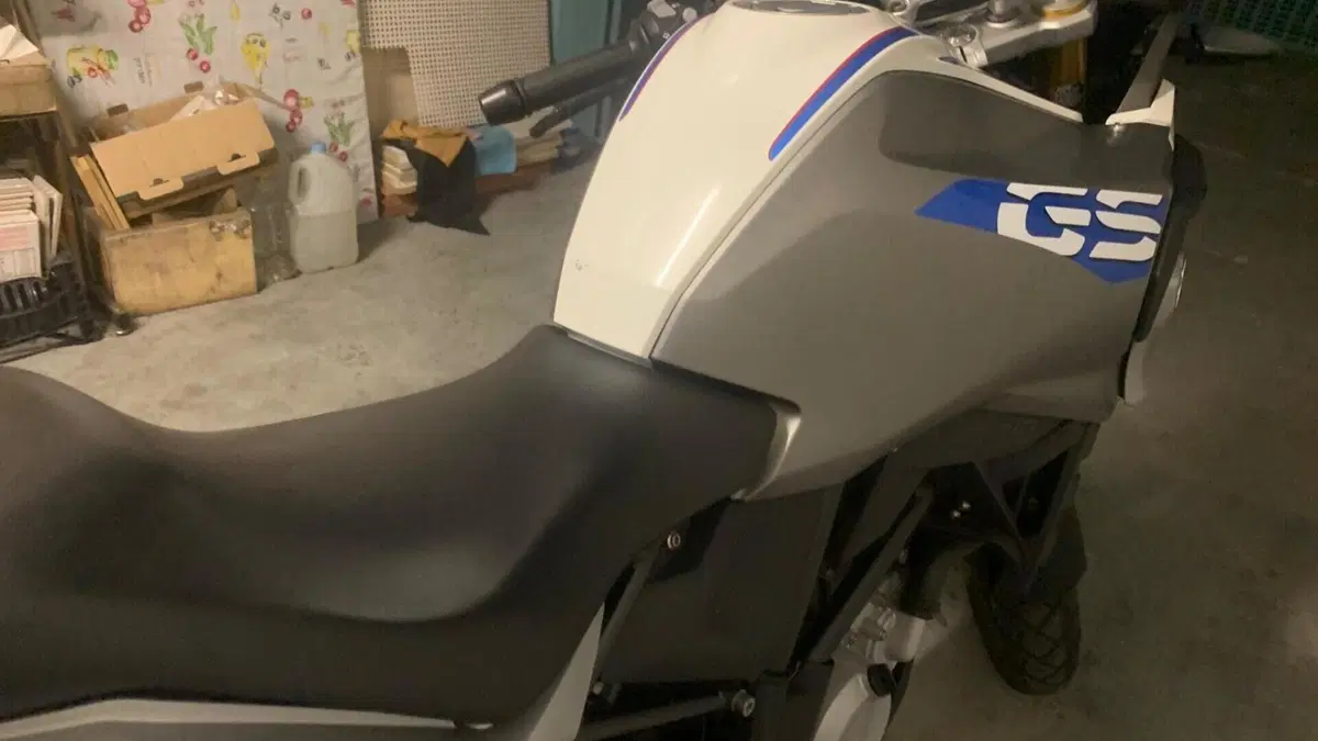 Bmw G 310 GS (2017 - 20)  (13)