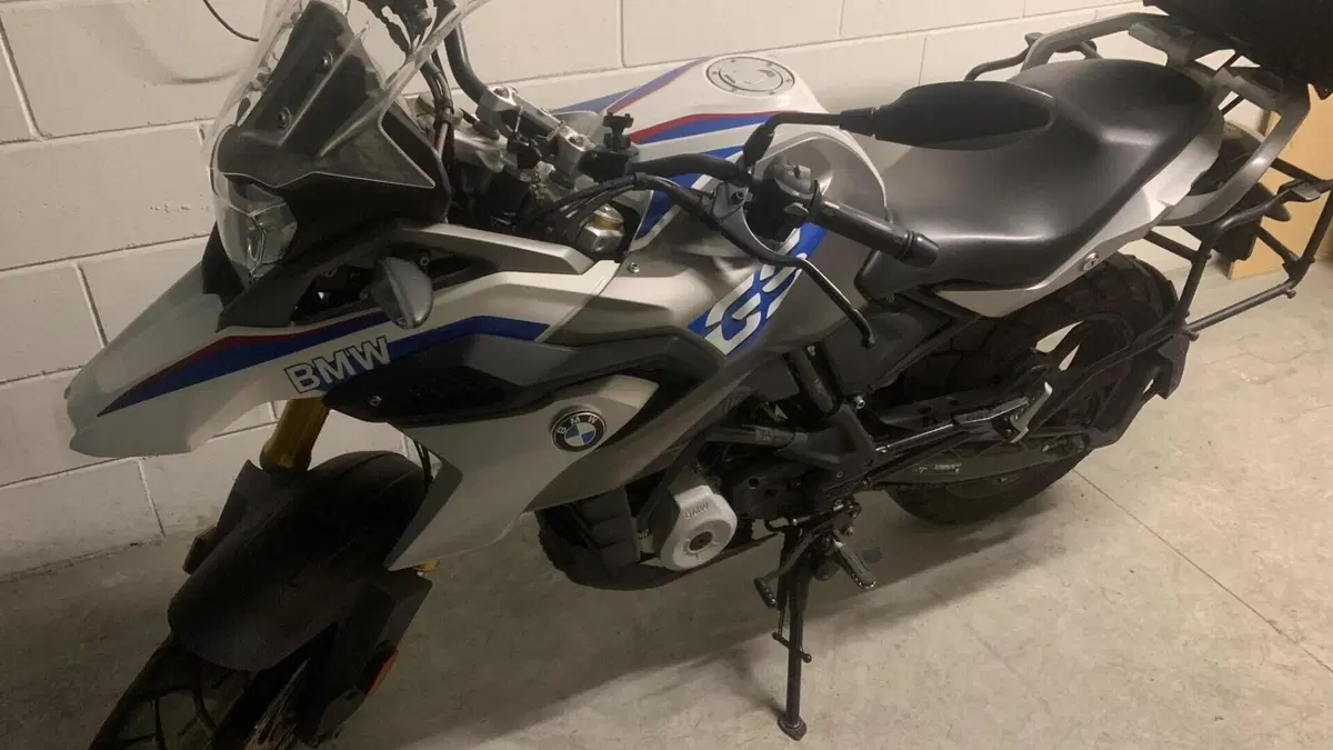 Bmw G 310 GS (2017 - 20)  (17)