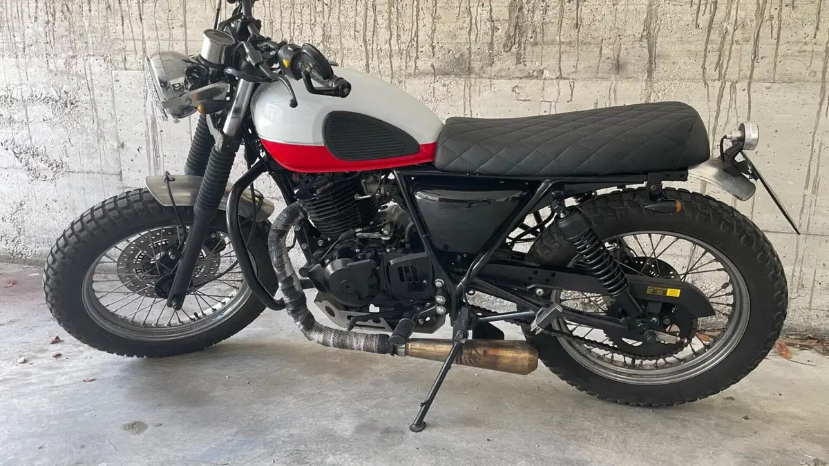 Mutt Motorcycles Mastiff 250 (2021 - 25)  (2)