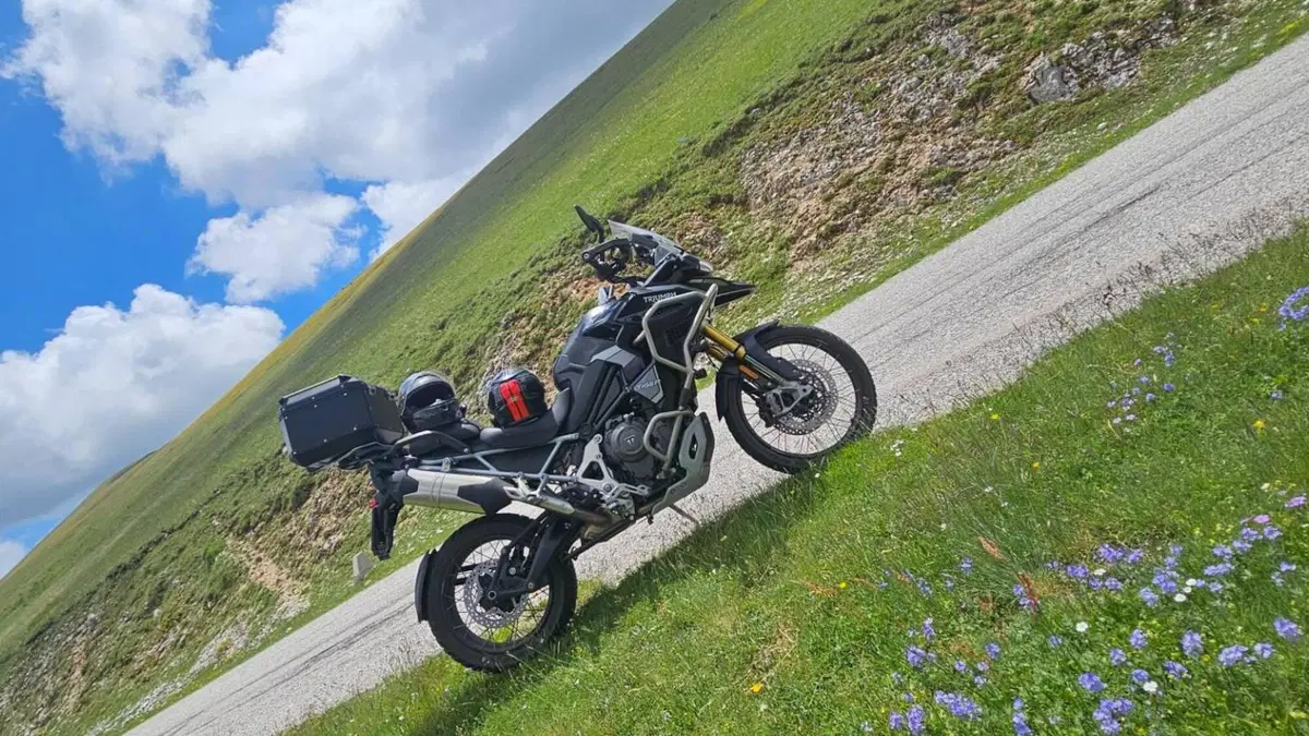 Triumph Tiger 1200 Rally Explorer (2024 - 26)  (2)