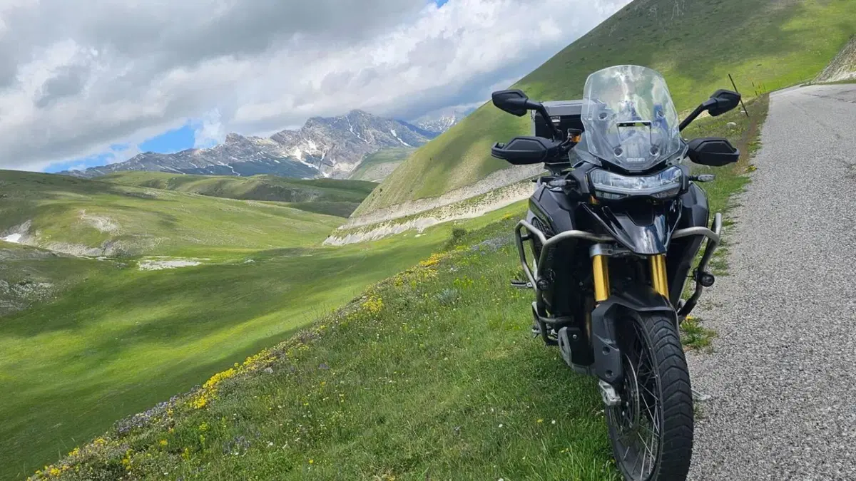 Triumph Tiger 1200 Rally Explorer (2024 - 26) 