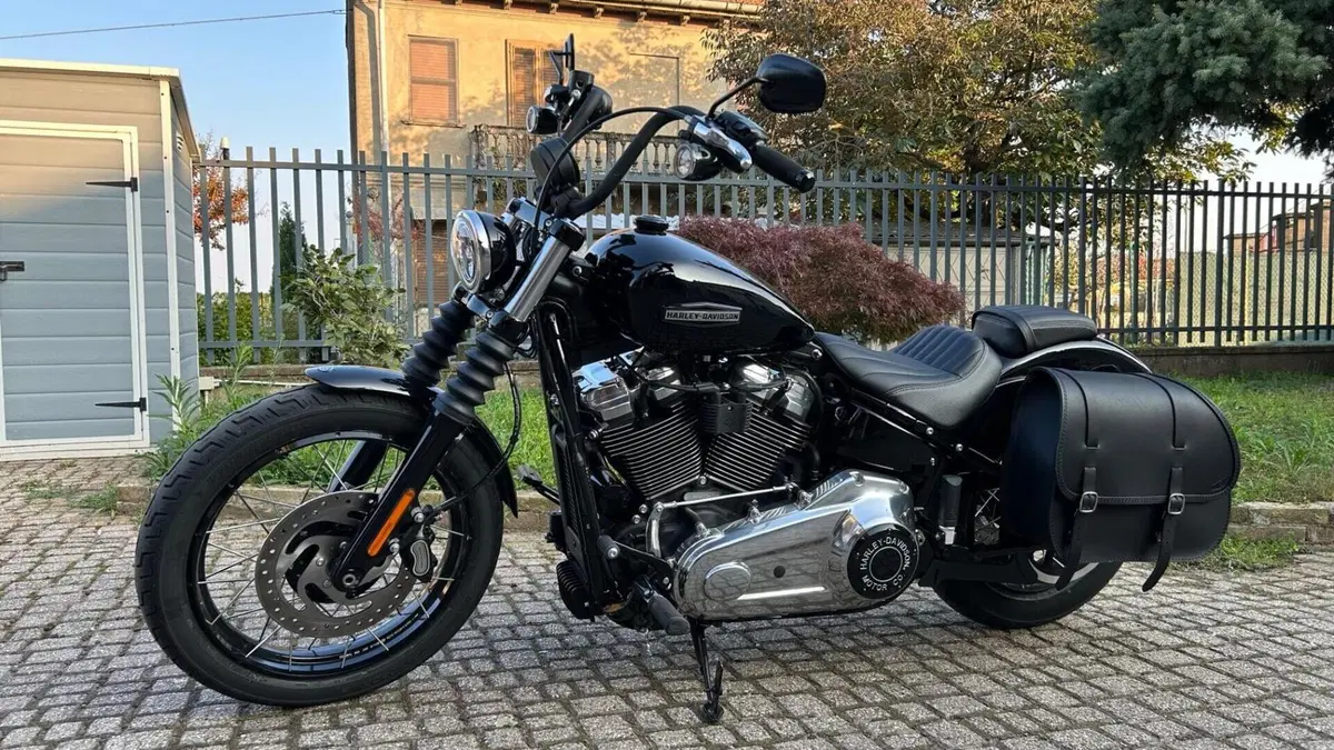 Harley-Davidson Street Bob 117 (2025 - 26) 