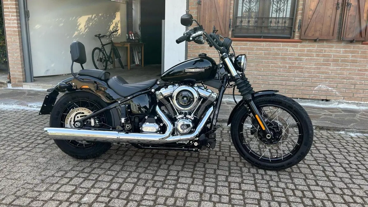 Harley-Davidson Street Bob 117 (2025 - 26)  (5)