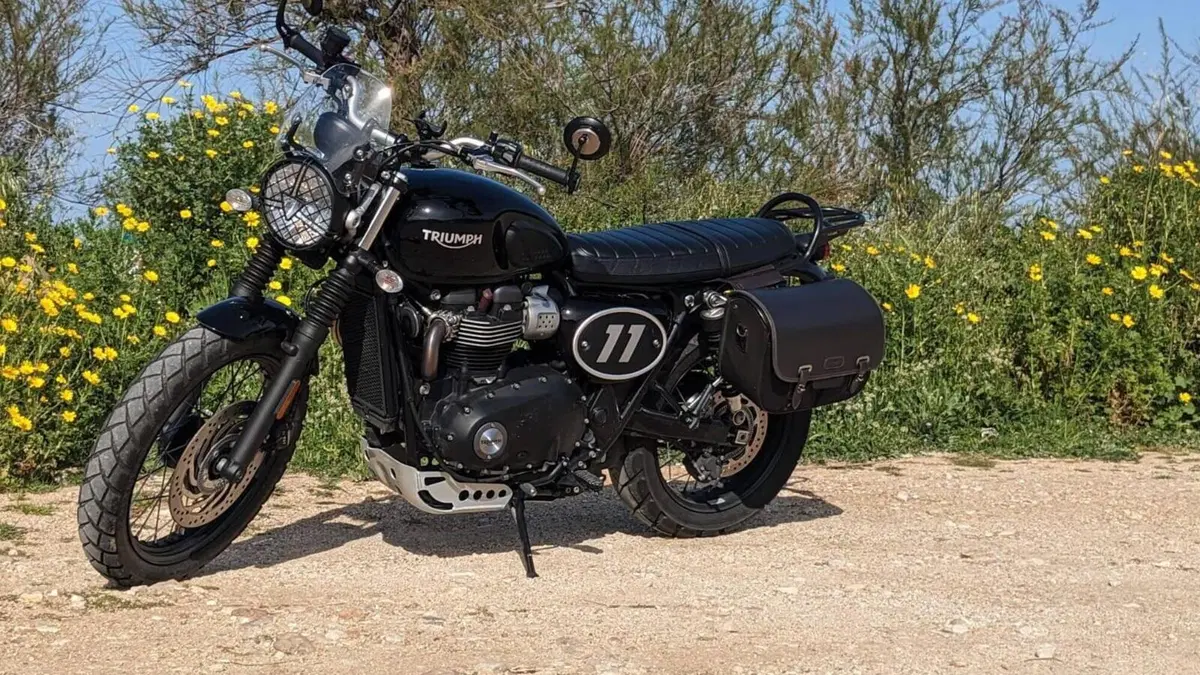 Triumph Street Scrambler 900 (2017 - 18)  (4)