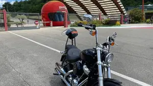 Harley-Davidson Softail Standard (2020) - FXST  (2)