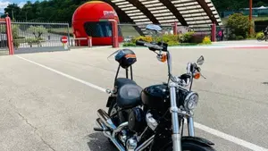 Harley-Davidson Softail Standard (2020) - FXST  (4)