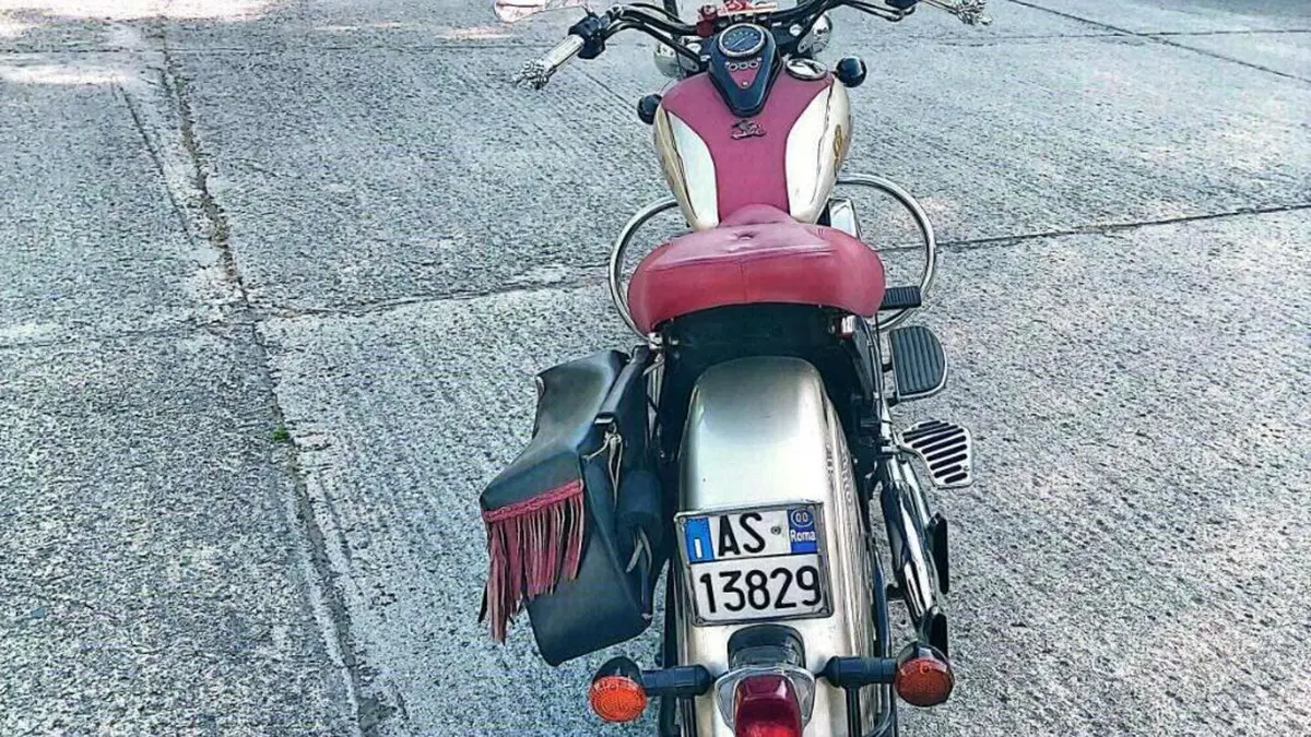 Kawasaki VN 800 Classic (1996 - 00)  (7)