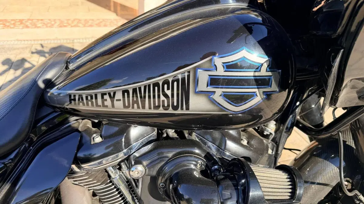 Harley-Davidson Road Glide Special (2021 - 23)  (6)