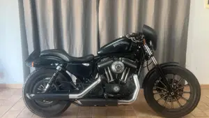 Harley-Davidson 883 Iron (2014 - 16) - XL 883N 