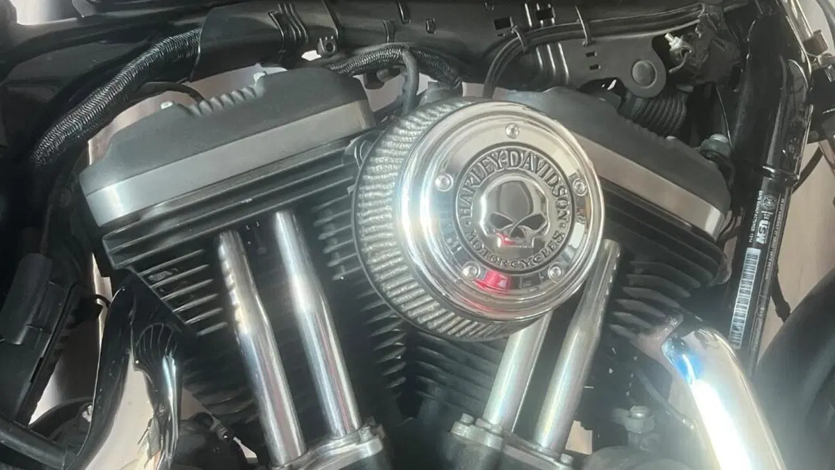 Harley-Davidson 883 Iron (2014 - 16) - XL 883N  (4)