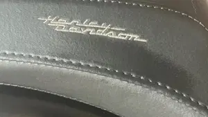 Harley-Davidson 883 Iron (2014 - 16) - XL 883N  (5)