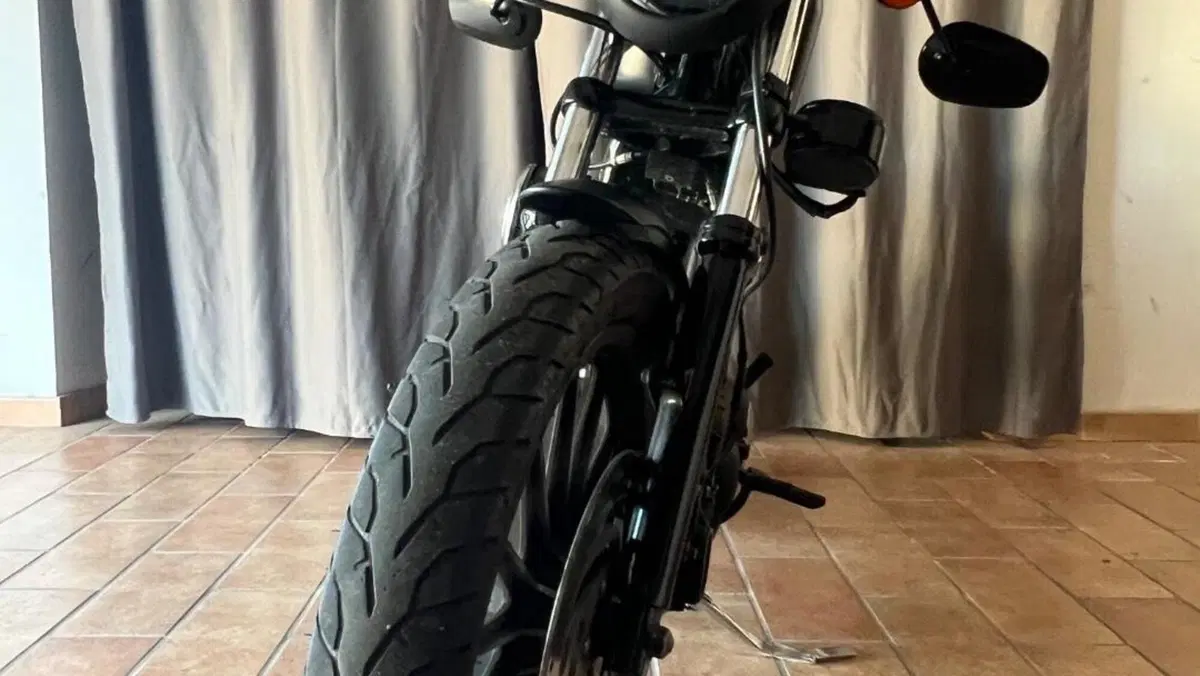 Harley-Davidson 883 Iron (2014 - 16) - XL 883N  (6)
