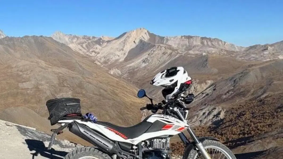 Betamotor Alp 4.0 (2008 - 17)  (2)
