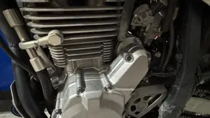 Betamotor Alp 4.0 (2008 - 17)  (4)