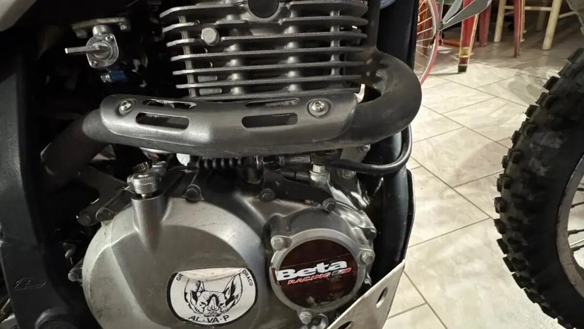 Betamotor Alp 4.0 (2008 - 17)  (5)