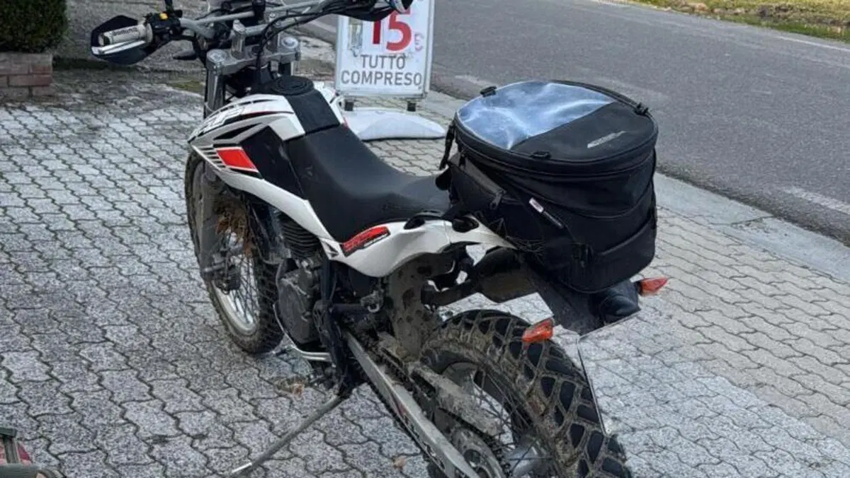 Betamotor Alp 4.0 (2008 - 17)  (7)