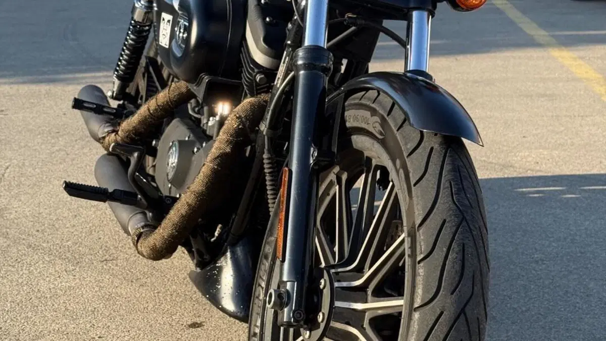 Harley-Davidson 883 Iron (2009 - 11) - XL 883N  (4)
