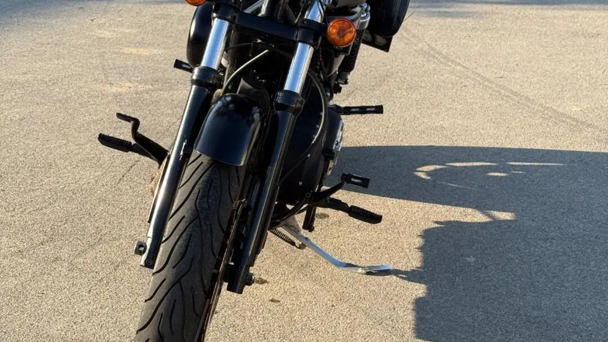 Harley-Davidson 883 Iron (2009 - 11) - XL 883N  (5)