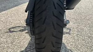 Harley-Davidson Pan America 1250 Special (2020 - 25)  (6)