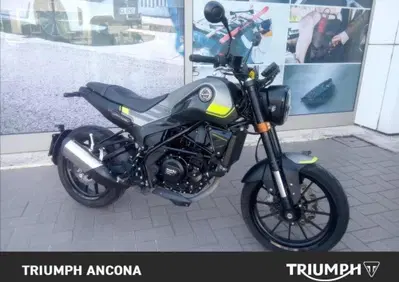 Benelli Leoncino 250 (2019 - 20) - Annuncio 10035938