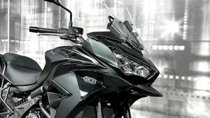 Kawasaki Versys 650 (2025 - 26)  (5)