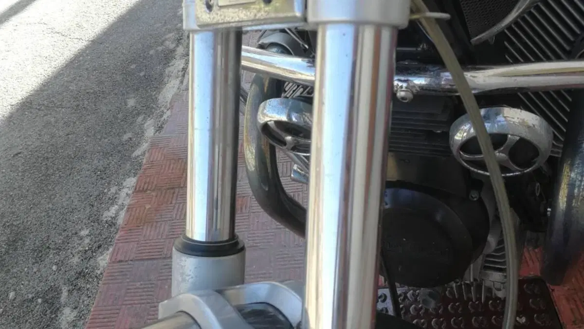 Moto Guzzi Nevada 750 (2002 - 06)  (10)