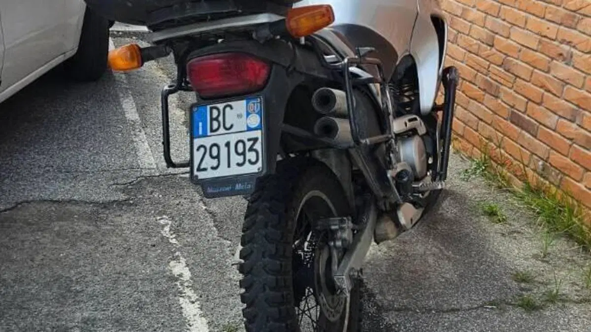 Honda Transalp XL 650V (2000 - 04)  (5)
