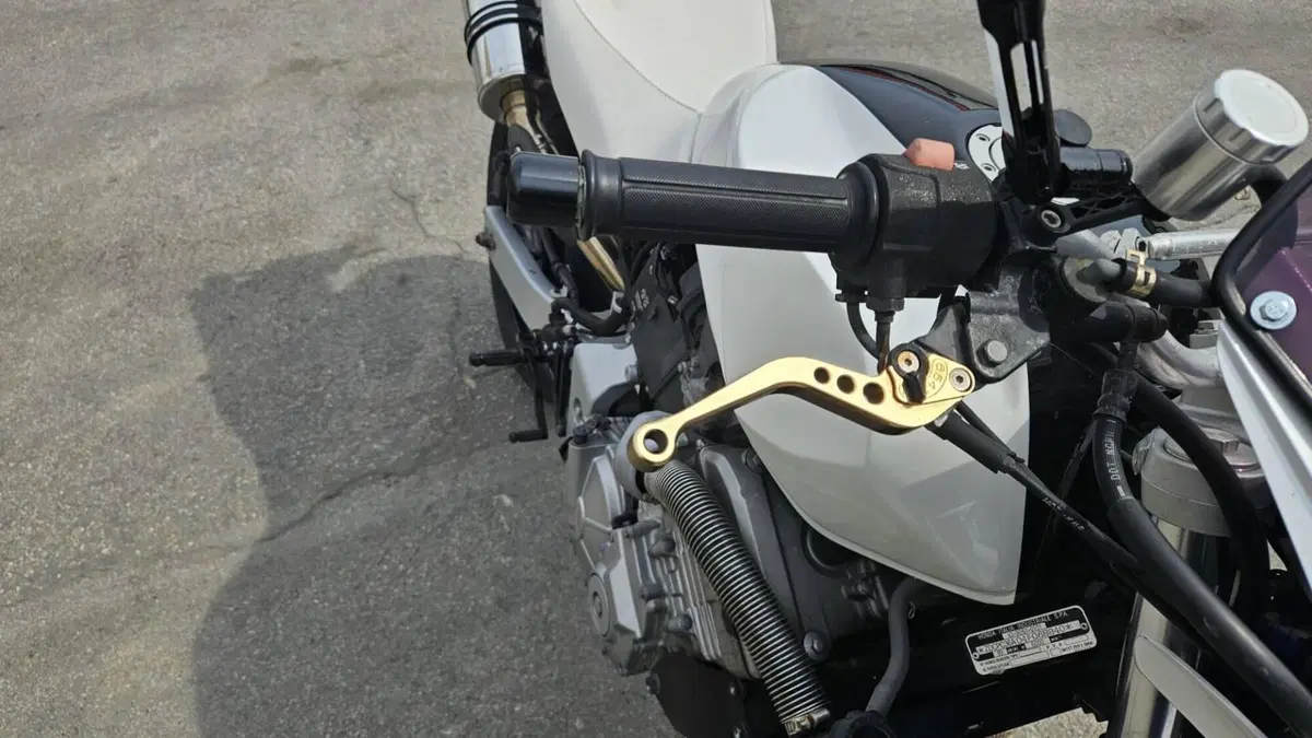 Honda Hornet 600 (2003 - 04)  (8)