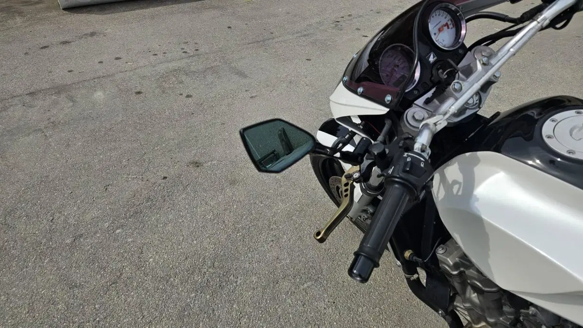 Honda Hornet 600 (2003 - 04)  (9)