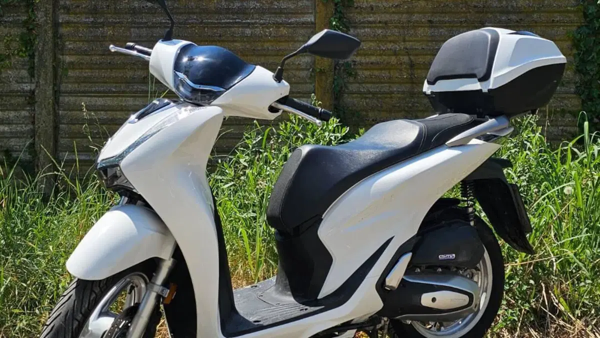 Honda SH 150i Sport (2022 - 23) 