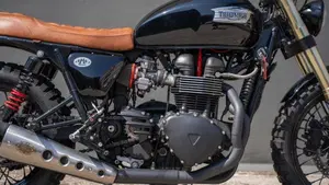 Triumph Bonneville T100 (2008 - 16)  (4)