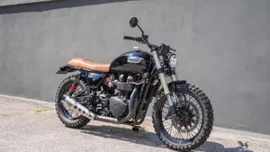 Triumph Bonneville T100 (2008 - 16)  (5)