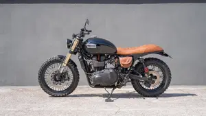 Triumph Bonneville T100 (2008 - 16)  (7)