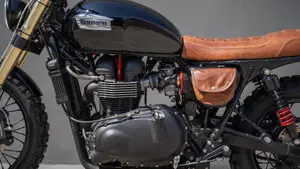 Triumph Bonneville T100 (2008 - 16)  (9)