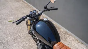 Triumph Bonneville T100 (2008 - 16)  (11)