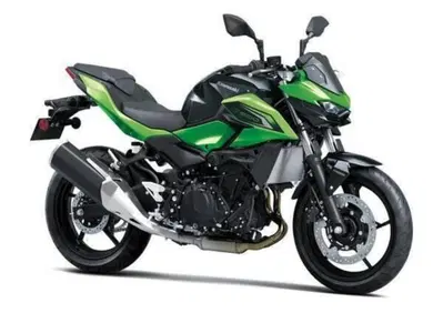 Kawasaki Z 500 (2024 - 26) - Annuncio 10036103