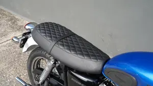 Triumph Bonneville T100 (2001 - 07)  (5)
