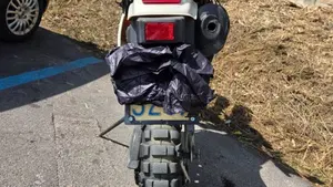 Suzuki   (2)