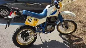 Suzuki   (3)