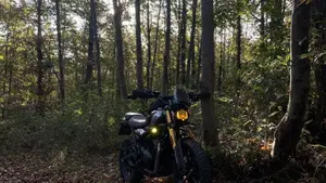 Triumph Scrambler 400 X (2024 - 26)  (8)